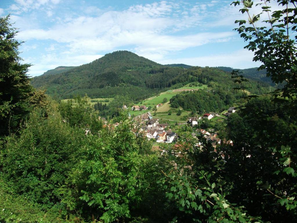 Ferienwohnung Christa Bad Peterstal-Griesbach Extérieur photo